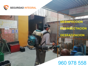https://www.seguridadintegral.pe/